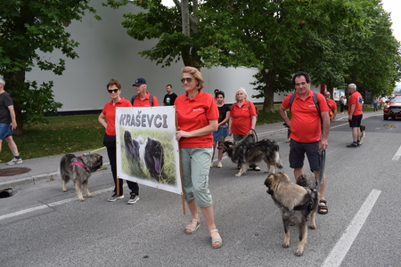 Fotografije Srečko Šajn (12)